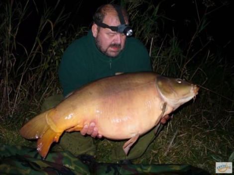 Kapr obecný, 84 cm, 17.9 kg