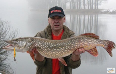 Štika obecná, 110 cm, 14.1 kg