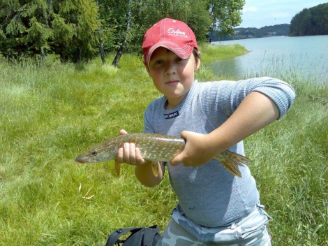 Štika obecná, 49 cm, 0.8 kg