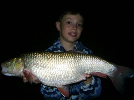 Jelec tloušť, 72 cm, 4.3 kg