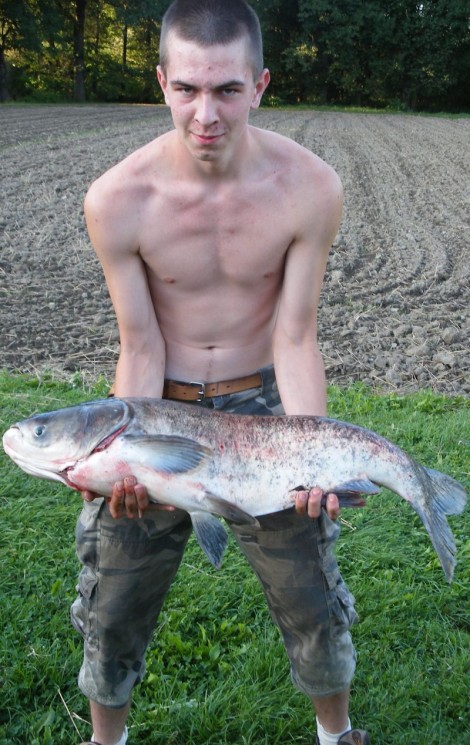 Tolstolobik bílý, 97 cm, 13 kg