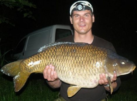 Kapr obecný, 98 cm, 20 kg