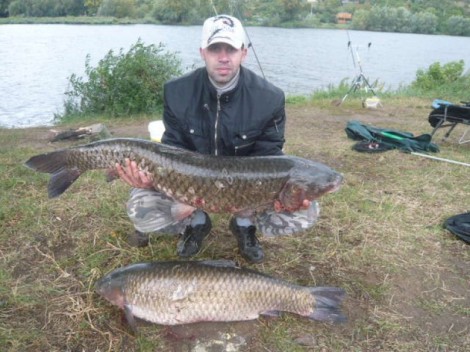 Amur bílý, 103 cm, 14.3 kg