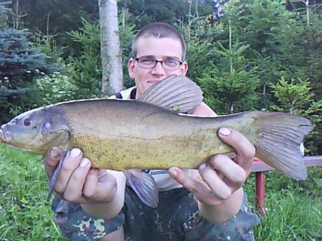 Lín obecný, 46 cm, 1.74 kg