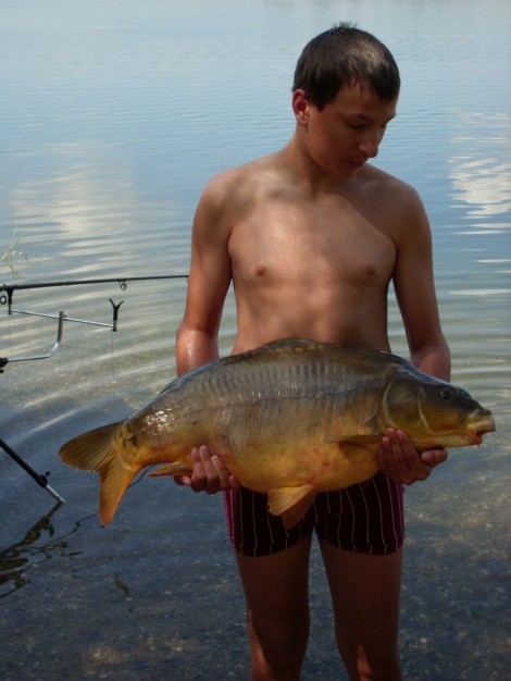 Kapr obecný, 85 cm, 16.2 kg