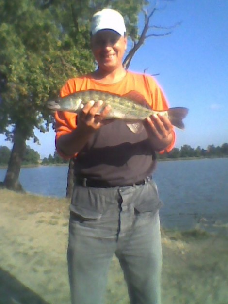 Candát obecný, 51 cm, 1.5 kg