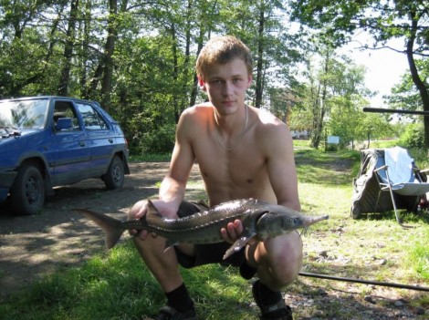 Jeseter sibiřský, 86 cm, 4 kg