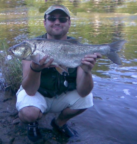 Bolen dravý, 70 cm