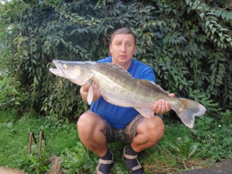 Candát obecný, 83 cm, 6.05 kg