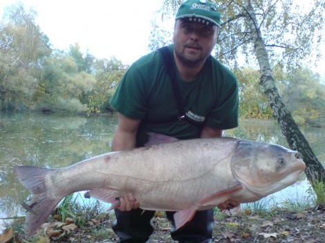 Tolstolobik bílý, 117 cm, 22 kg