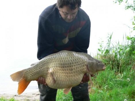 Kapr obecný, 93 cm, 17 kg