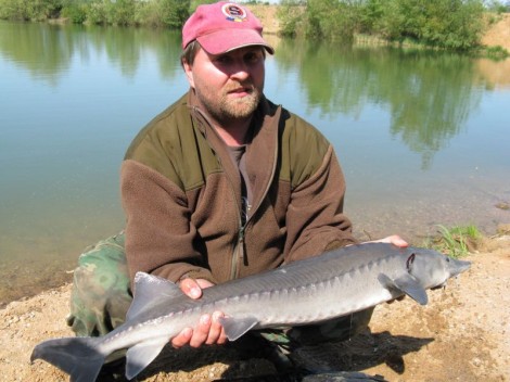 Jeseter sibiřský, 102 cm, 5.5 kg