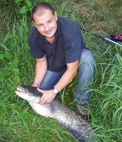 Sumec velký, 110 cm