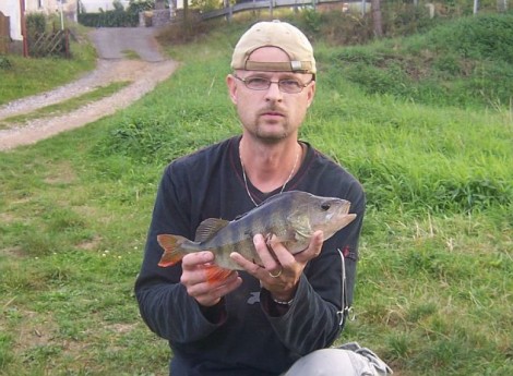 Okoun říční, 40 cm, 0.95 kg