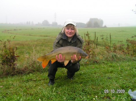 Kapr obecný, 54 cm