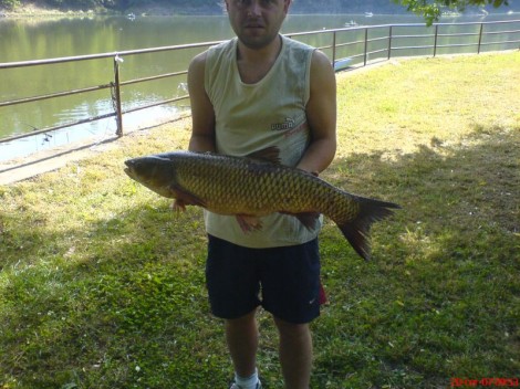 Amur bílý, 88 cm, 7 kg