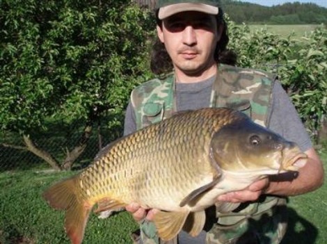 Kapr obecný, 78 cm, 9 kg