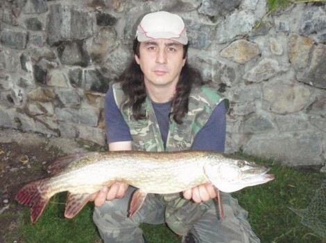 Štika obecná, 84 cm, 6 kg