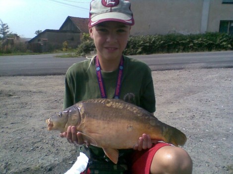 Kapr obecný, 65 cm, 4.5 kg