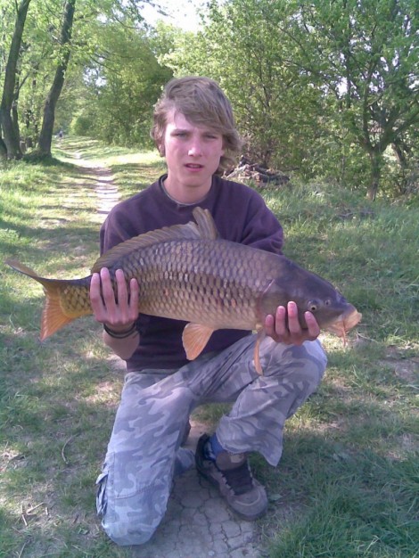 Kapr obecný, 75 cm, 9.5 kg