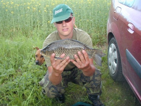 Karas stříbřitý, 45 cm, 2.3 kg