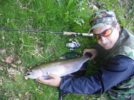 Pstruh duhový, 63 cm