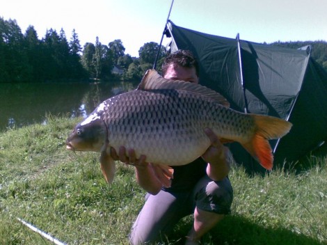 Kapr obecný, 91 cm, 18.7 kg