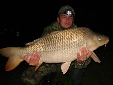 Kapr obecný, 80 cm, 8.5 kg