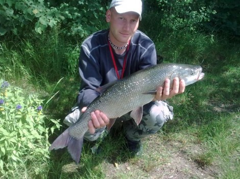 Bolen dravý, 85 cm, 4 kg