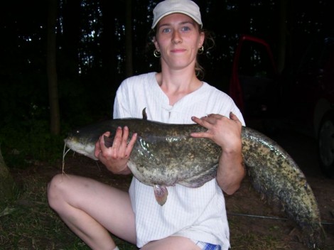 Sumec velký, 95 cm