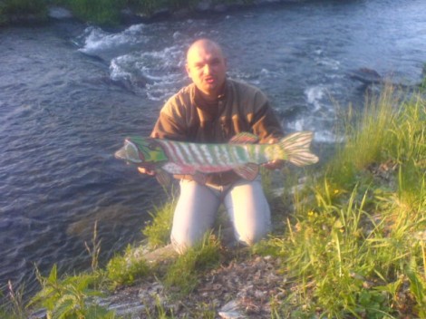 Štika obecná, 76 cm, 0.2 kg