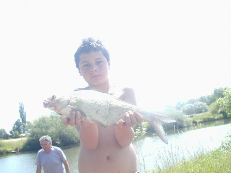 Cejn velký, 59 cm, 1.6 kg