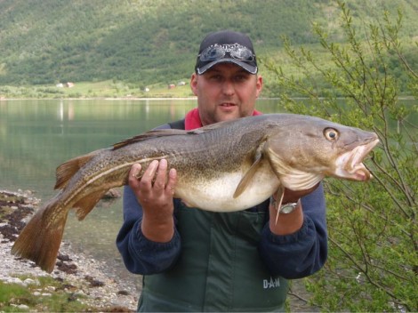 Treska obecná, 93 cm, 8 kg