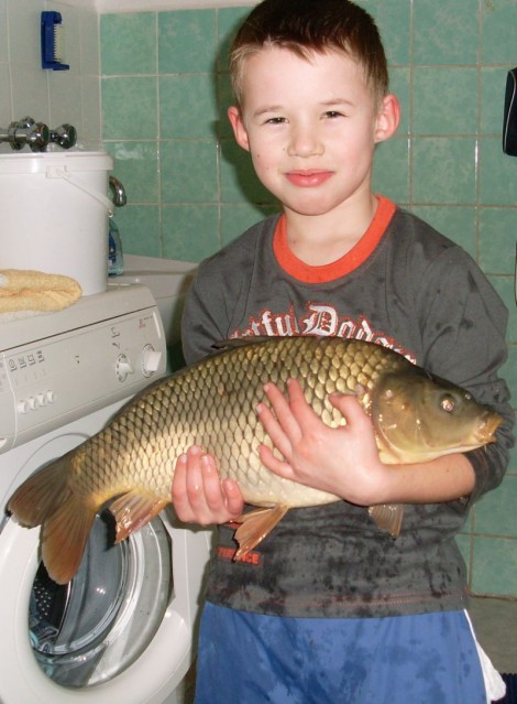Kapr obecný, 44 cm, 3 kg