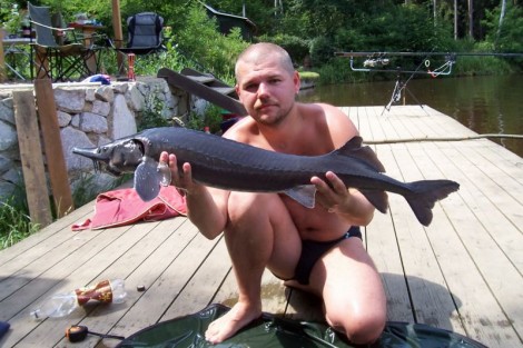 Jeseter sibiřský, 99 cm, 4.7 kg