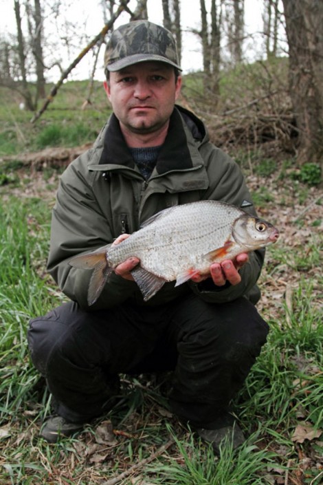 Cejnek malý, 40 cm, 1 kg