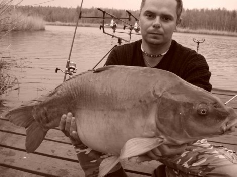 Kapr obecný, 85 cm, 11.5 kg