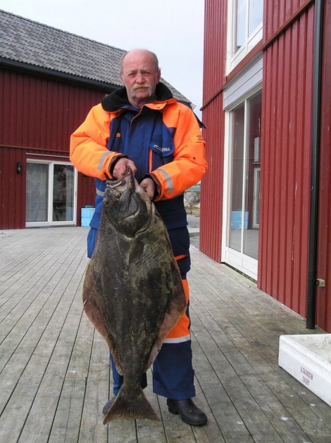 Halibut, 107 cm, 14.45 kg