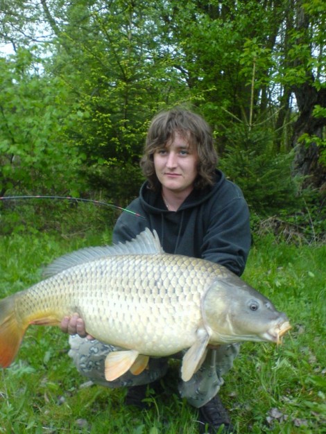 Kapr obecný, 81 cm