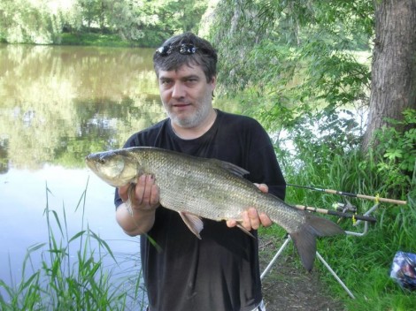 Bolen dravý, 70 cm, 6 kg
