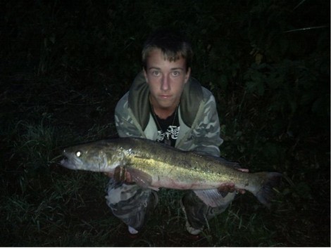 Candát obecný, 82 cm, 7 kg