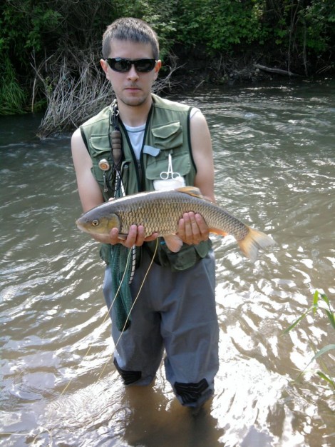 Jelec tloušť, 53 cm