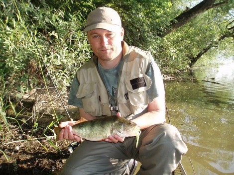 Okoun říční, 40 cm