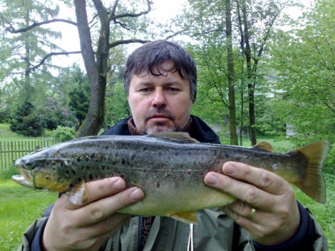 Pstruh obecný, 46 cm, 1.55 kg