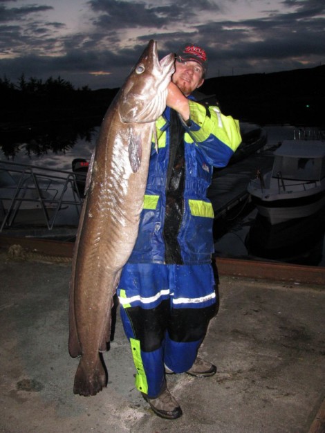 Mník mořský, 160 cm, 28.1 kg