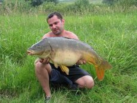 Kapr obecný, 96 cm, 16 kg