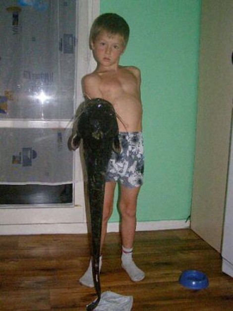 Sumec velký, 90 cm, 6.45 kg