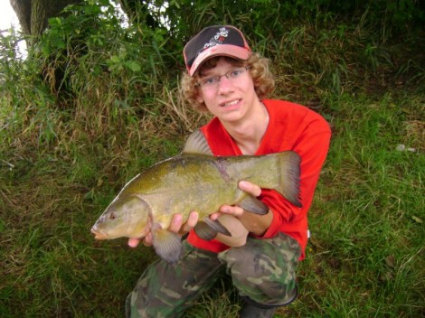 Lín obecný, 46 cm