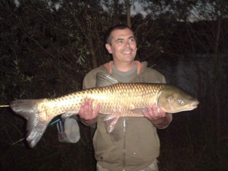 Amur bílý, 94 cm, 11 kg