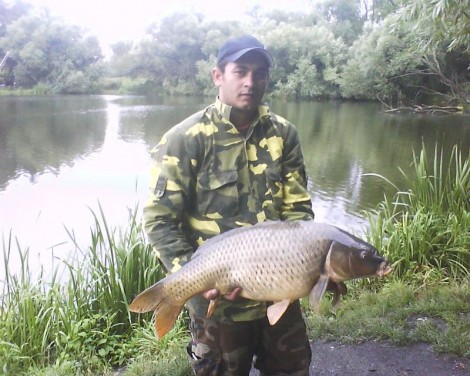 Kapr obecný, 92 cm, 15 kg